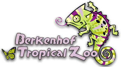 2 tickets voor Tropical Zoo: de leukste attractie van Zeeland! 